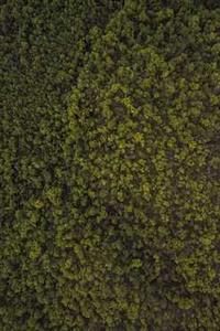 驱动人生手机版下载-第1张图片-太平洋在线下载 驱动人生手机版下载-第1张图片-太平洋在线下载