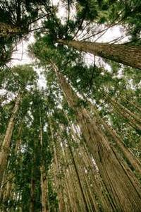 片场下载苹果版-第4张图片-太平洋在线下载 片场下载苹果版-第4张图片-太平洋在线下载