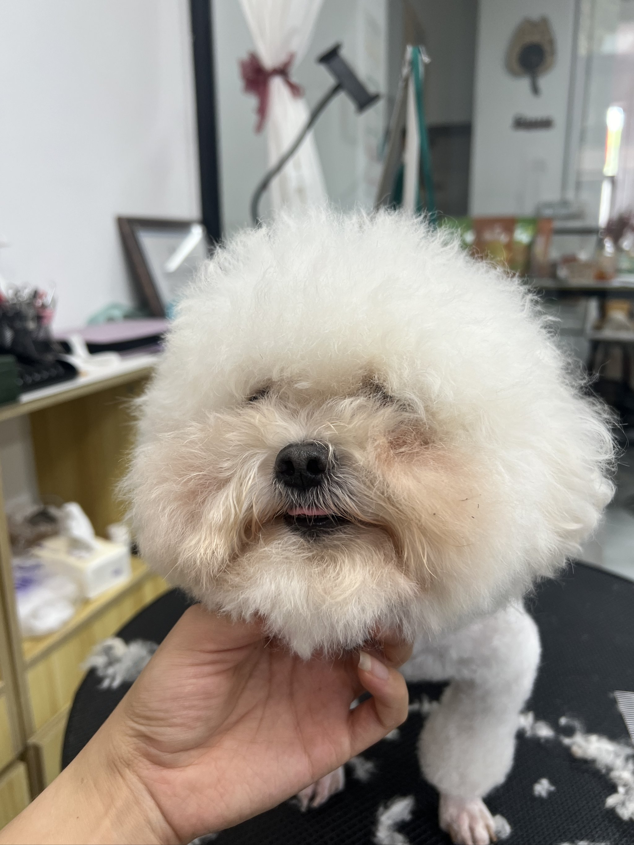 q宠宝贝手机版下载小宝贝mp3音乐下载