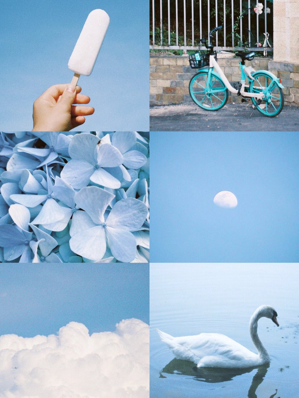 胶片调色苹果手机版(iphone胶片效果)-第6张图片-有道翻译官网