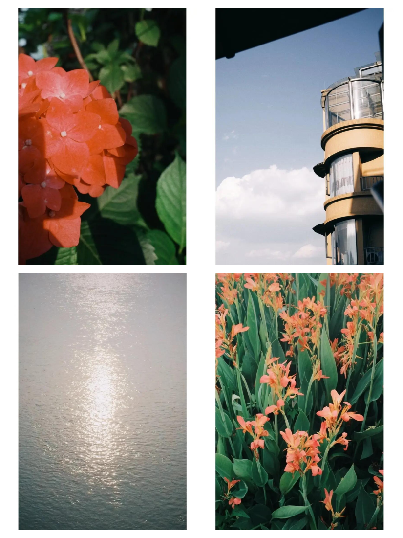 胶片调色苹果手机版(iphone胶片效果)-第9张图片-有道翻译官网