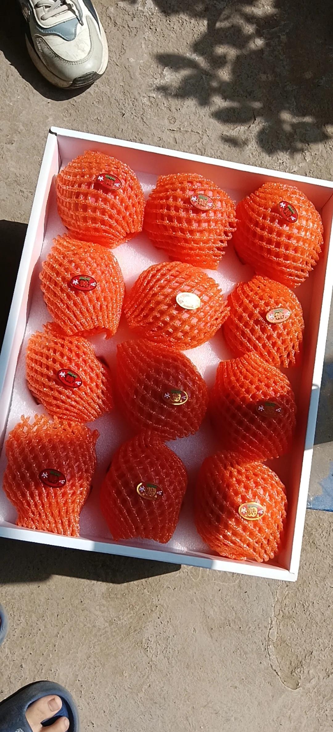 水果白卡苹果版(ios水果卡是什么)-第15张图片-有道翻译官网