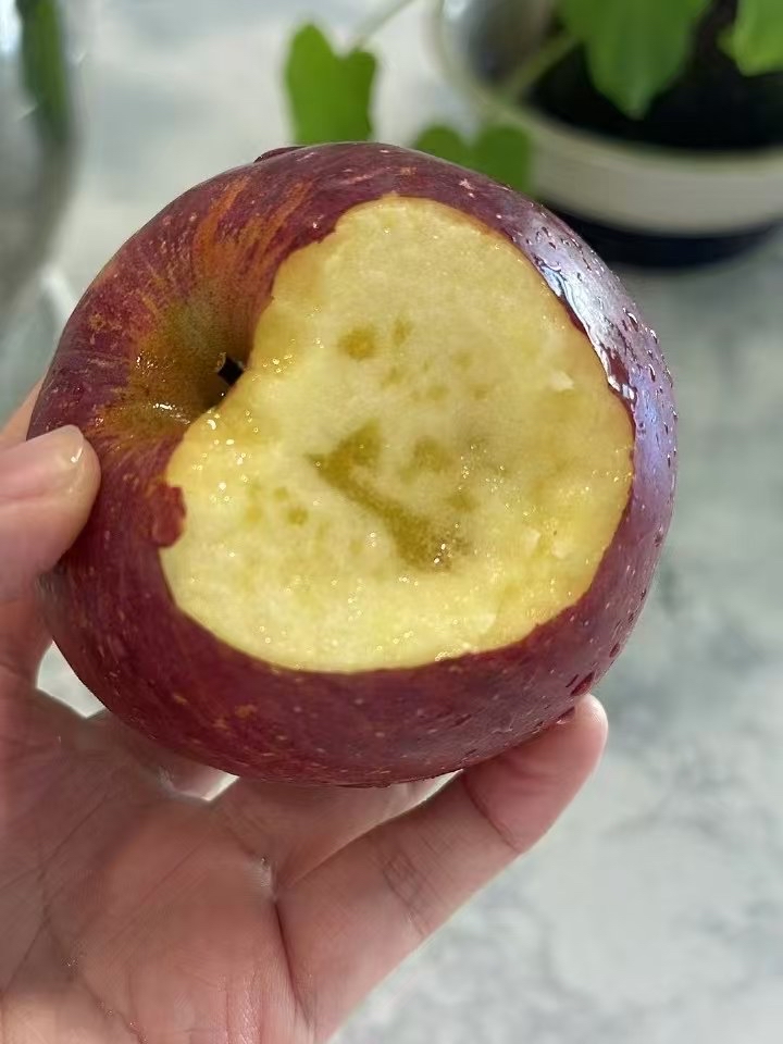 日语版的坏苹果(坏苹果中文版填词翻唱)-第2张图片-有道翻译官网