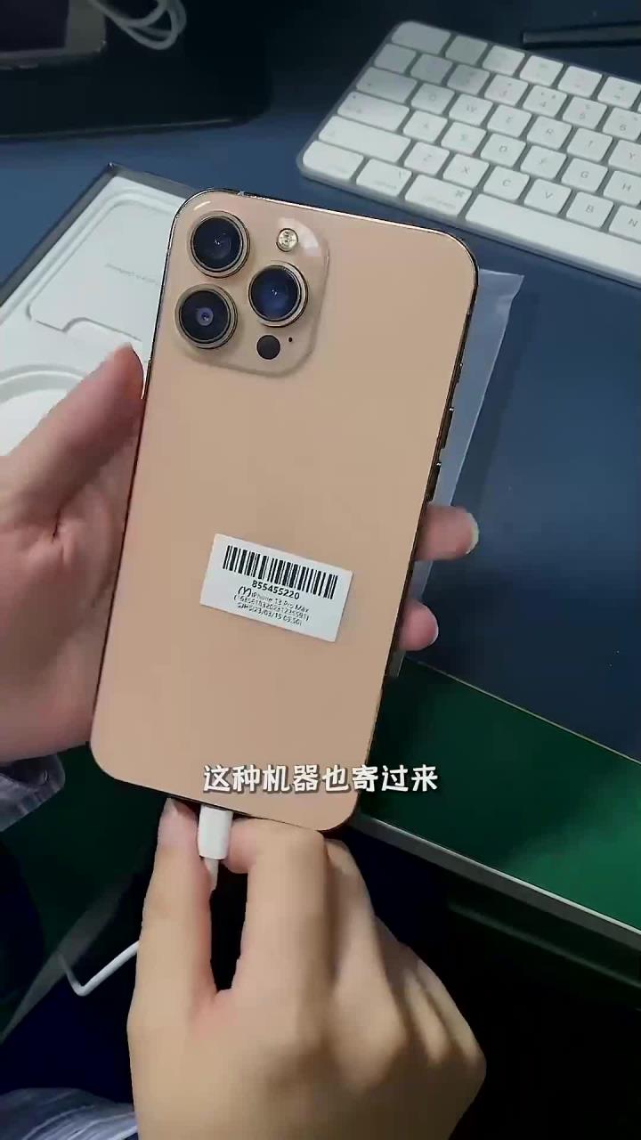 苹果山寨版叫什么(苹果山寨版叫什么手机)-第12张图片-有道翻译官网