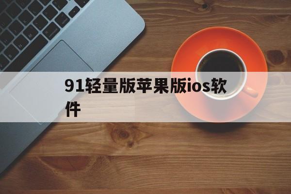 91轻量版苹果版ios软件的简单介绍-第14张图片-有道翻译官网