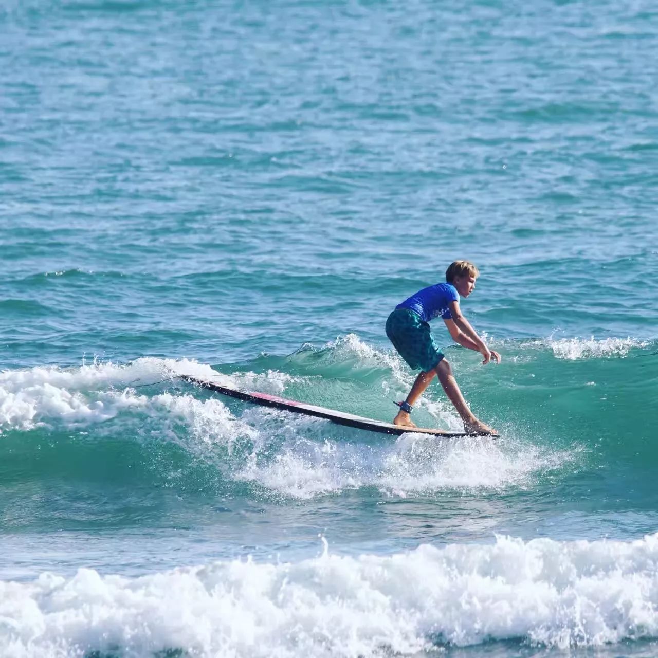 星网冲浪苹果版(星网冲浪极速版官网)