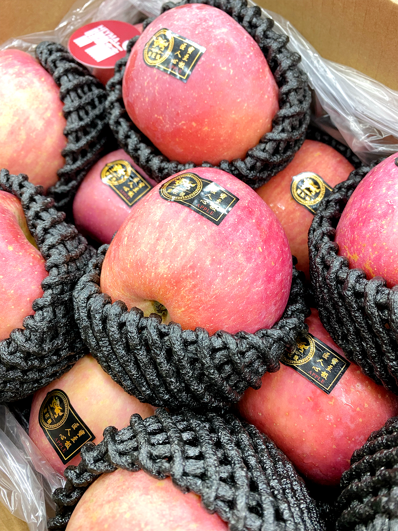 意大利版苹果外型图片(意大利版iphone是否支持电信)-第5张图片-有道翻译官网 意大利版苹果外型图片(意大利版iphone是否支持电信)-第5张图片-有道翻译官网