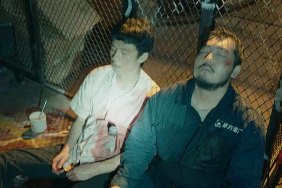 仿生人安卓版下载苹果版(仿生人安卓版下载苹果版安装)-第5张图片-有道翻译官网