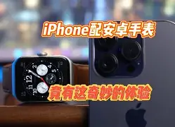 纸牌游戏app安卓版苹果版(纸牌游戏合集 安卓)-第10张图片-有道翻译官网