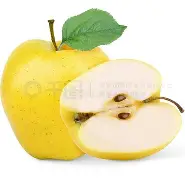 苹果壁纸原始版黄色(iphone壁纸官方 原生)-第4张图片-有道翻译官网